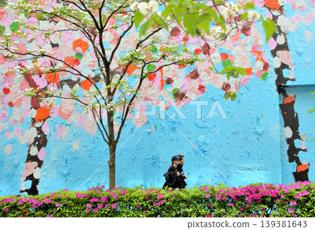 Ginza 5-chome Miyuki Street, full of spring Ginza 5-chome Miyuki Street, full of spring 139381643