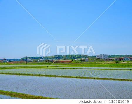 插秧後的稻田與藍天 插秧後的稻田與藍天 139381649