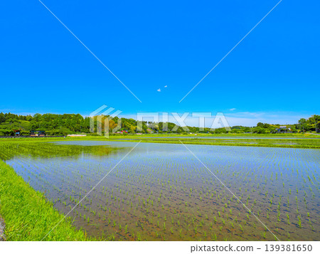 藍天映照在梯田上 藍天映照在梯田上 139381650