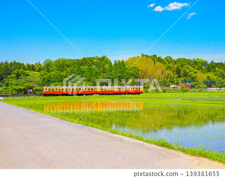 小湊鐵道穿過鄉村地區的風景。 139381655