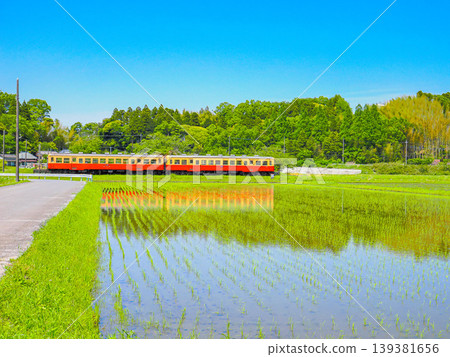 小湊鐵道穿過鄉村地區。 139381656