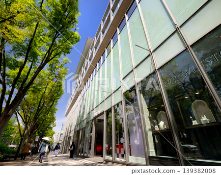 Omotesando Hills and the lush green zelkova tree-lined street, Tokyo Omotesando Hills and the lush green zelkova tree-lined street, Tokyo 139382008