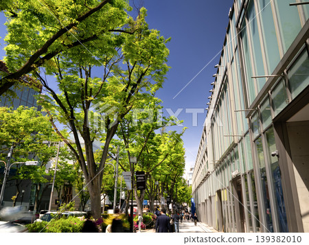Omotesando Hills and the lush green zelkova tree-lined street, Tokyo Omotesando Hills and the lush green zelkova tree-lined street, Tokyo 139382010