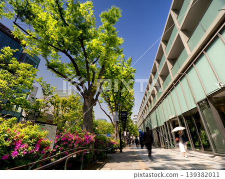 Omotesando Hills and the lush green zelkova tree-lined street, Tokyo Omotesando Hills and the lush green zelkova tree-lined street, Tokyo 139382011