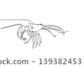 Minimalist single line drawing of a human hand holding a giant lobster. This nature concept is absolutely perfect for National Lobster Day market advertisements, blog posts, and wall decors. 139382453