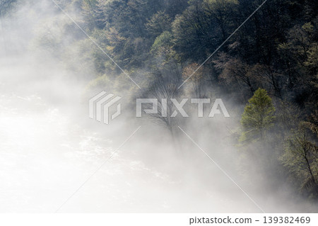 中津川市的雲海 中津川市的雲海 139382469