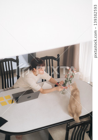 Cheerful young asian woman playing with cute fluffy orange cat on white table while working from home on laptop feeling relaxed and showing deep affection for beautiful pet Cheerful young asian woman playing with cute fluffy orange cat on white table while working from home on laptop feeling relaxed and showing deep affection for beautiful pet 139382593