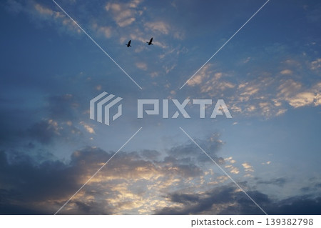 Birds flying in the dusk sky Birds flying in the dusk sky 139382798
