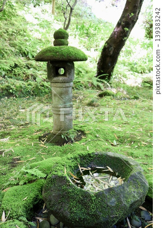 A moss-covered stone lantern and a water basin. A moss-covered stone lantern and a water basin. 139383242