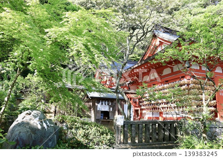 在蔥鬱綠蔭中熠熠生輝的寺廟和神社 在蔥鬱綠蔭中熠熠生輝的寺廟和神社 139383245