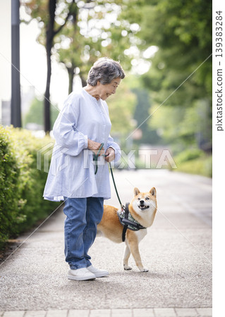 老婦人牽著她的柴犬散步 139383284