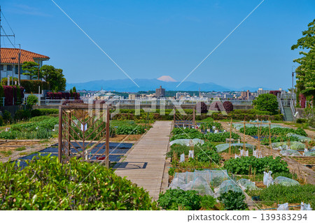 從東京世田谷區成城富士見橋向西眺望,可以看到農田(富士山、狛江市、世田谷區、丹澤山脈等)。 從東京世田谷區成城富士見橋向西眺望,可以看到農田(富士山、狛江市、世田谷區、丹澤山脈等)。 139383294