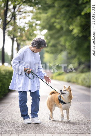 A senior woman and her Shiba Inu taking a walk A senior woman and her Shiba Inu taking a walk 139383331