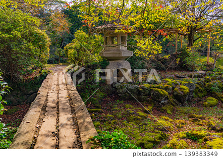 （靜岡縣）樂壽園，三島市：小濱池與源兵衛川源頭 139383349