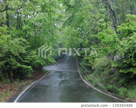 Rainy mountain pass Rainy mountain pass 139383486