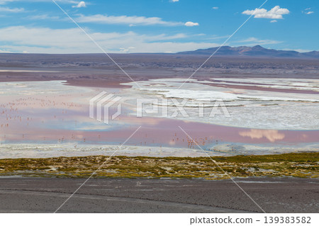 Vast serene landscape of pink Laguna Colorada salt lake in Bolivia Vast serene landscape of pink Laguna Colorada salt lake in Bolivia 139383582