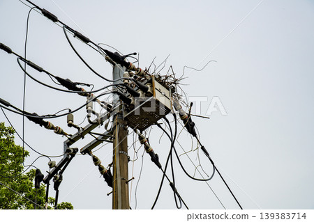 Bird nest built on top of a utility pole Bird nest built on top of a utility pole 139383714