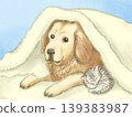 A friendly dog and cat wrapped in a fluffy blanket. A friendly dog and cat wrapped in a fluffy blanket. 139383987