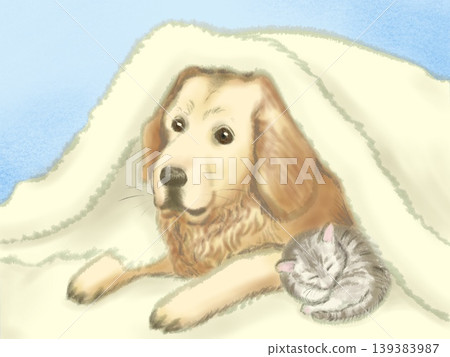 A friendly dog and cat wrapped in a fluffy blanket. 139383987