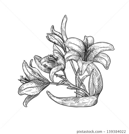 Lily flower and buds arrangement vector drawing. Black white ink illustration of botanical blooms. Hand drawn graphic sketch floral element for wedding invitation, Easter greeting card and christen. Lily flower and buds arrangement vector drawing. Black white ink illustration of botanical blooms. Hand drawn graphic sketch floral element for wedding invitation, Easter greeting card and christen. 139384022
