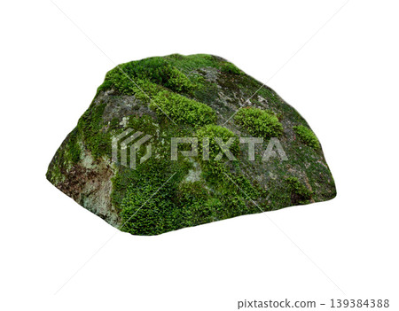 stone covered with moss isolated on white background 139384388