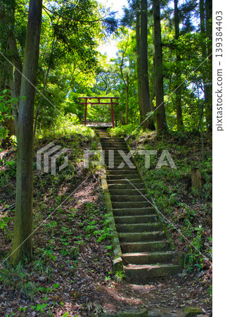 [相模原市] 築井湖城山公園、飯綱神社 139384403