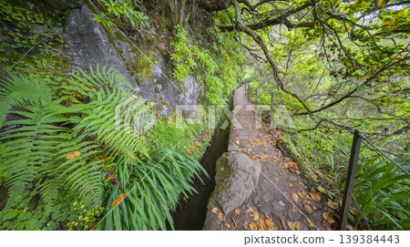 Levada do Caldeirao Verde, Madeira, Portugal Levada do Caldeirao Verde, Madeira, Portugal 139384443
