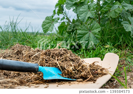 Cardboard in the garden and in permaculture, it provides nutrients and carbon, allows mulching, keeps the soil cool and serves as a method of weeding, brown corrugated cardboard, without ink or glue 139384573