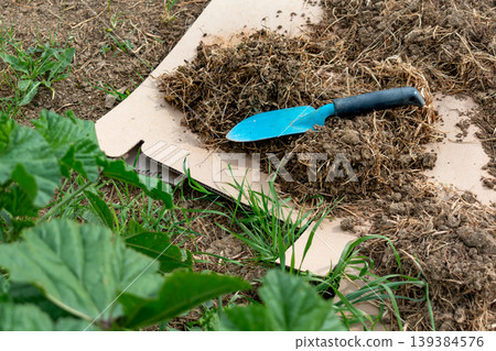 Cardboard in the garden and in permaculture, it provides nutrients and carbon, allows mulching, keeps the soil cool and serves as a method of weeding, brown corrugated cardboard, without ink or glue Cardboard in the garden and in permaculture, it provides nutrients and carbon, allows mulching, keeps the soil cool and serves as a method of weeding, brown corrugated cardboard, without ink or glue 139384576