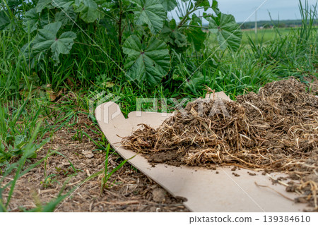 Cardboard in the garden and in permaculture, it provides nutrients and carbon, allows mulching, keeps the soil cool and serves as a method of weeding, brown corrugated cardboard, without ink or glue Cardboard in the garden and in permaculture, it provides nutrients and carbon, allows mulching, keeps the soil cool and serves as a method of weeding, brown corrugated cardboard, without ink or glue 139384610