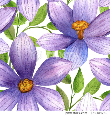 Large purple crocus flowers with green leaves, seamless watercolor pattern. Fresh blue mountain flowers, hand drawn. Vibrant plants for packaging, cosmetic fabric, and cards. Large purple crocus flowers with green leaves, seamless watercolor pattern. Fresh blue mountain flowers, hand drawn. Vibrant plants for packaging, cosmetic fabric, and cards. 139384789