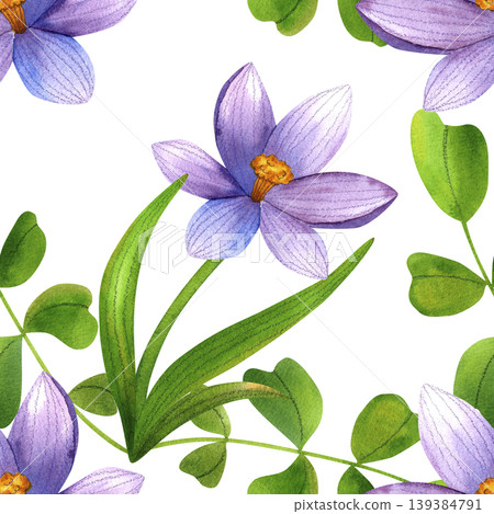 Purple crocus flowers intertwined with green leaves, seamless watercolor pattern. Fresh blue mountain flowers, hand drawn. Vibrant flowering plants for packaging, cosmetic fabric, and cards. 139384791