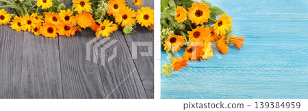 Calendula officinalis. Marigold flower with leaf on black and blue wooden background with copy space for your text Calendula officinalis. Marigold flower with leaf on black and blue wooden background with copy space for your text 139384959