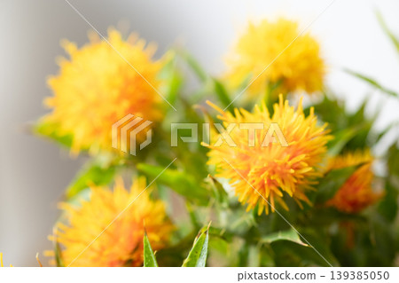 The image of safflowers in a vase The image of safflowers in a vase 139385050