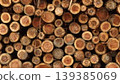Cross-sections of wood, backgrounds for copies, etc. 139385069