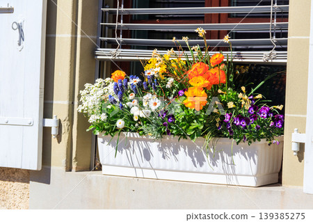 Beautiful flowers in a pot on the windowsill outside the house Beautiful flowers in a pot on the windowsill outside the house 139385275