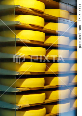 Cheese dairy plant warehouse with shelves stacked with rows of cheese Cheese dairy plant warehouse with shelves stacked with rows of cheese 139385343