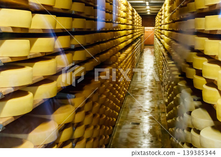 Cheese dairy plant warehouse with shelves stacked with rows of cheese Cheese dairy plant warehouse with shelves stacked with rows of cheese 139385344