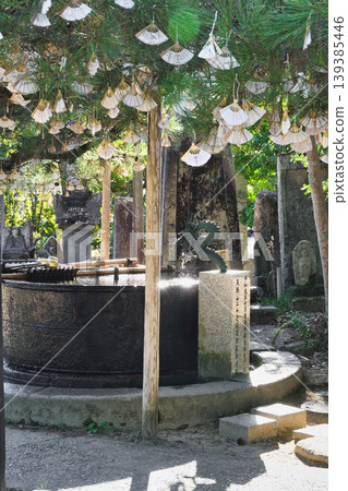 天橋立知恩寺(京都府宮津市) 天橋立知恩寺(京都府宮津市) 139385446