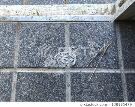 Dirty entrance tiles before cleaning Dirty entrance tiles before cleaning 139385479