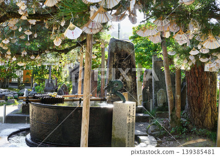 天橋立知恩寺(京都府宮津市) 天橋立知恩寺(京都府宮津市) 139385481