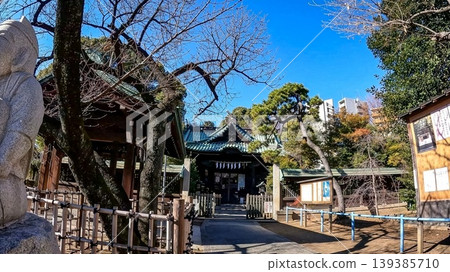 Tokyo, Ebara Shrine's main hall and blue sky, a famous landmark in Shinagawa Ward. 139385710