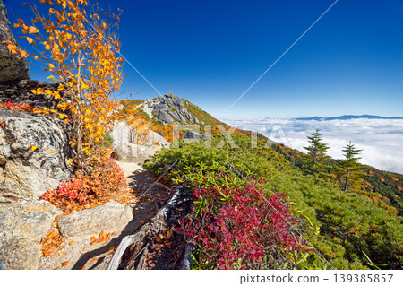 Autumn foliage in the Southern Alps, the Houou Sanzan mountain range, and Sunaharai-dake, with Yakushi-dake and the mountain range of Okuchichibu above the clouds. Autumn foliage in the Southern Alps, the Houou Sanzan mountain range, and Sunaharai-dake, with Yakushi-dake and the mountain range of Okuchichibu above the clouds. 139385857