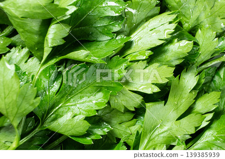 Bunch of raw aromatic parsley seasoning for cooking Bunch of raw aromatic parsley seasoning for cooking 139385939