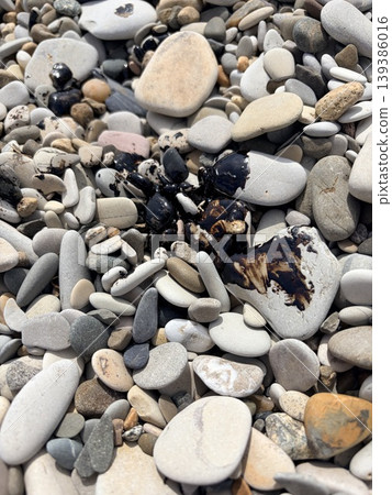 pebble beach polluted with black oil stains 139386016