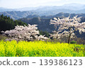 Nagano City, Nakajo Miyamasato, Alps Observation Plaza Yume no Eki: A beautiful display of rapeseed blossoms and cherry blossoms. 139386123