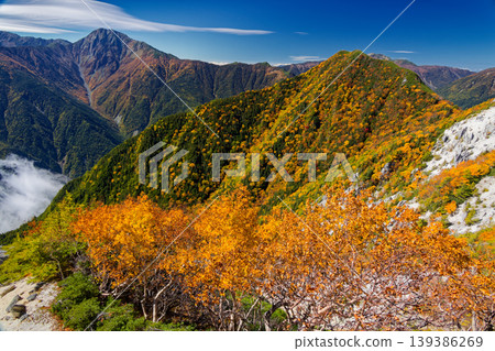 南阿爾卑斯山的秋葉：從赤貫澤之魂看到的高峰和北岳。 139386269