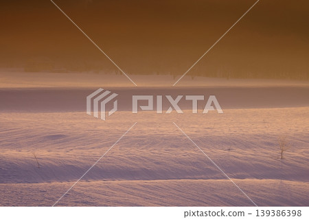 A winter dawn scene 139386398