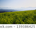 Nagano City, Nakajo Miyamasato, Alps Observation Plaza Yume no Eki: View of the Northern Alps from a field of rapeseed flowers. 139386425