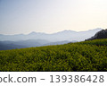 Nagano City, Nakajo Miyamasato, Alps Observation Plaza Yume no Eki: View of the Northern Alps from a field of rapeseed flowers. 139386428